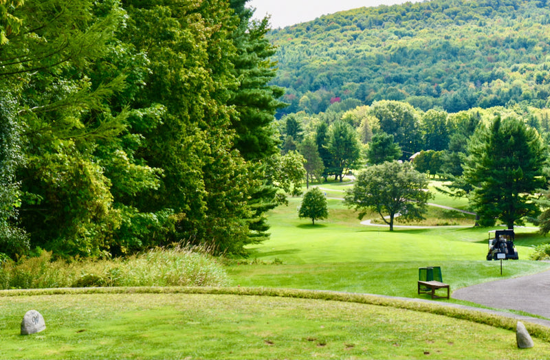 Item #46: Williston Golf Club - Greens Fees with Cart (4)