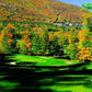 (Item #04) Fox Run Golf Club (4) Greens Fees wCart Midweek