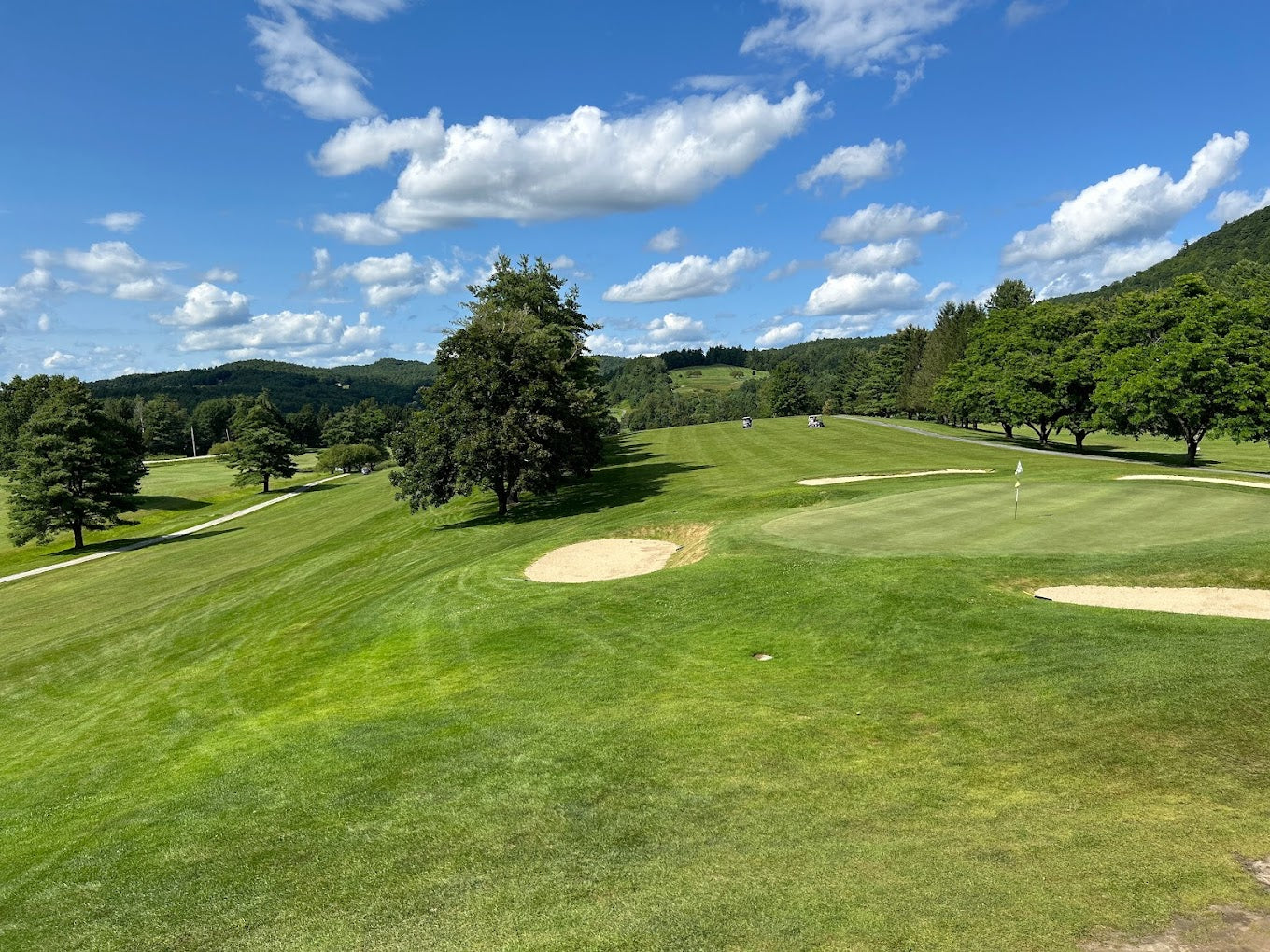 (#39) Lake St Catherine GC (4) Greens Fees with Carts
