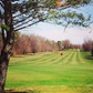 (Item #37) Ralph Myhre Golf Course - (4) Greens Fees