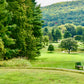 Item #46: Williston Golf Club - Greens Fees with Cart (4)