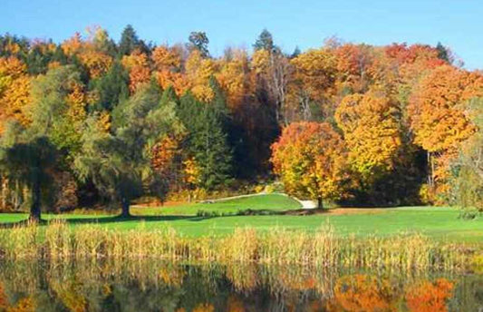 Item #13: Neshobe Golf Club - Greens Fees (4)
