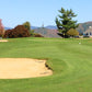 Item #12: Proctor Pittsford Country Club - Greens Fees (4)