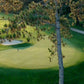 Item #12: Proctor Pittsford Country Club - Greens Fees (4)