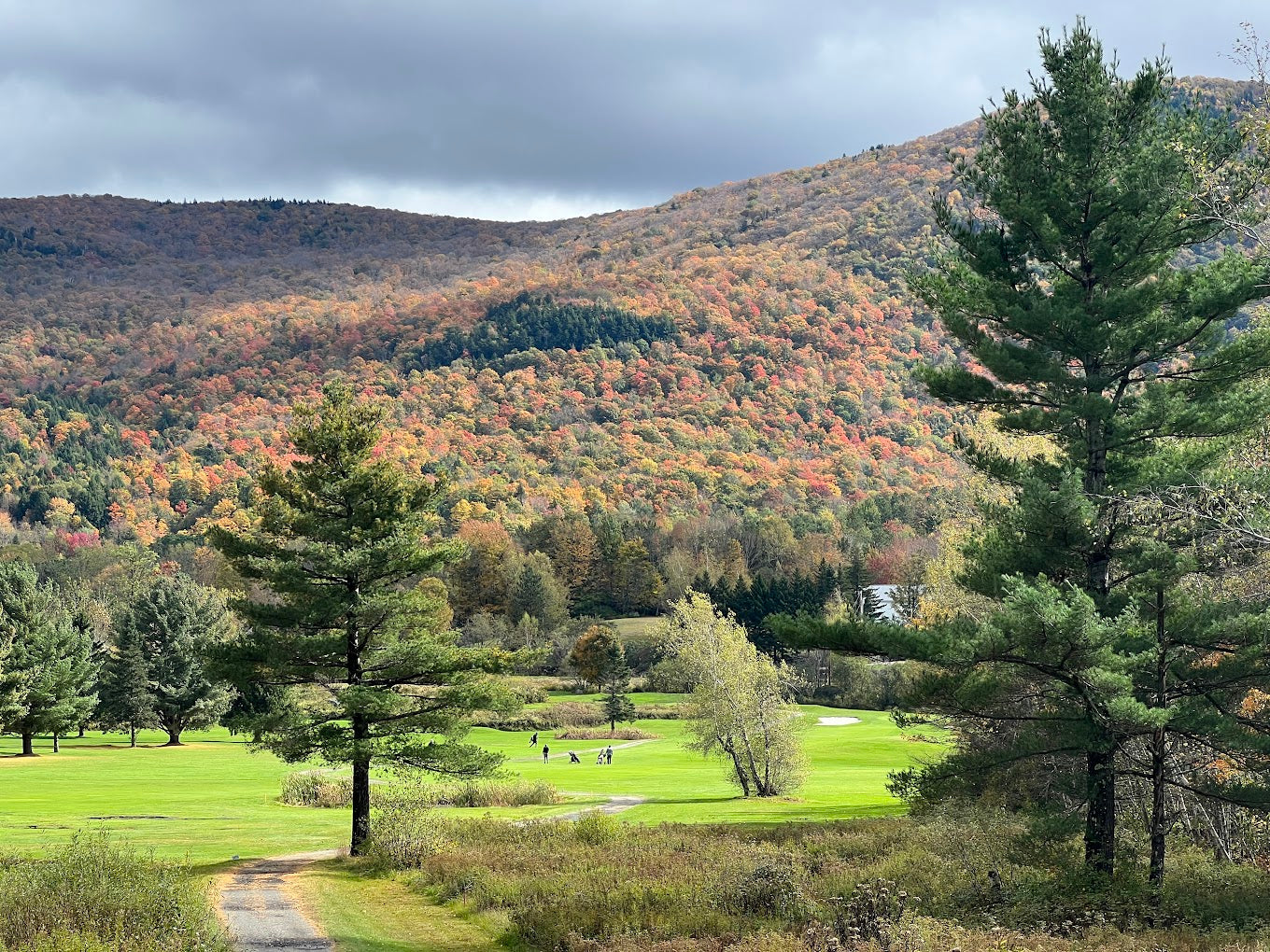 (Item #39) West Bolton Golf Club - (4) Greens Fees